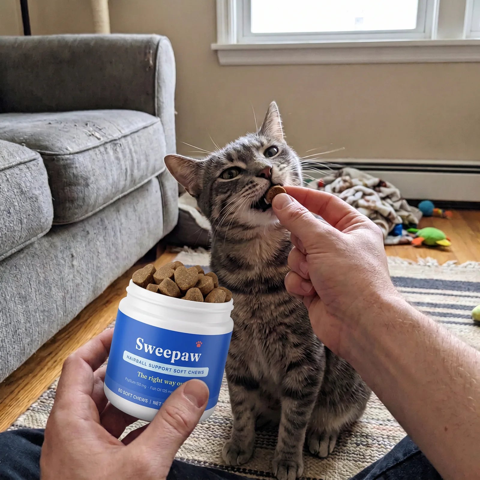 A cat taking a Sweepaw chew from a person's hand at home