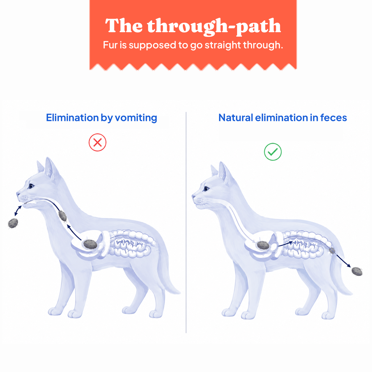 How swallowed fur leaves a cat: vomiting versus natural elimination in the litter box
